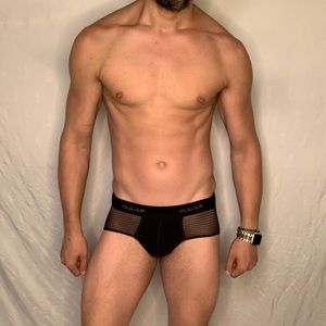 Clever Mesh Panel Briefs